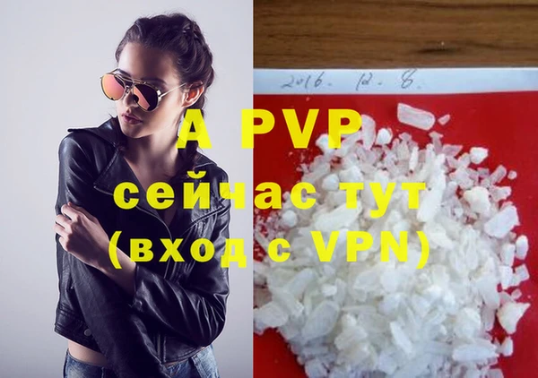 a pvp Абаза