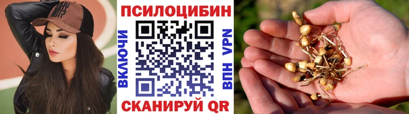 купить наркотики сайты Шахты Галлюциногенные грибы Cubensis